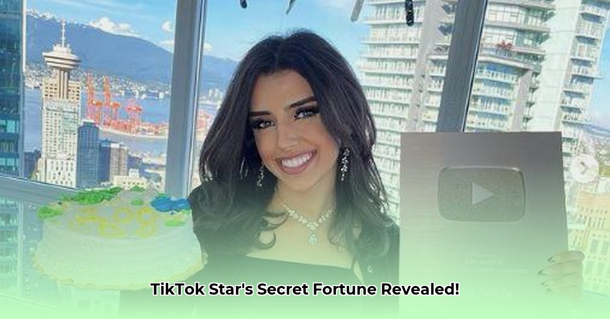 gal-akbari-net-worth